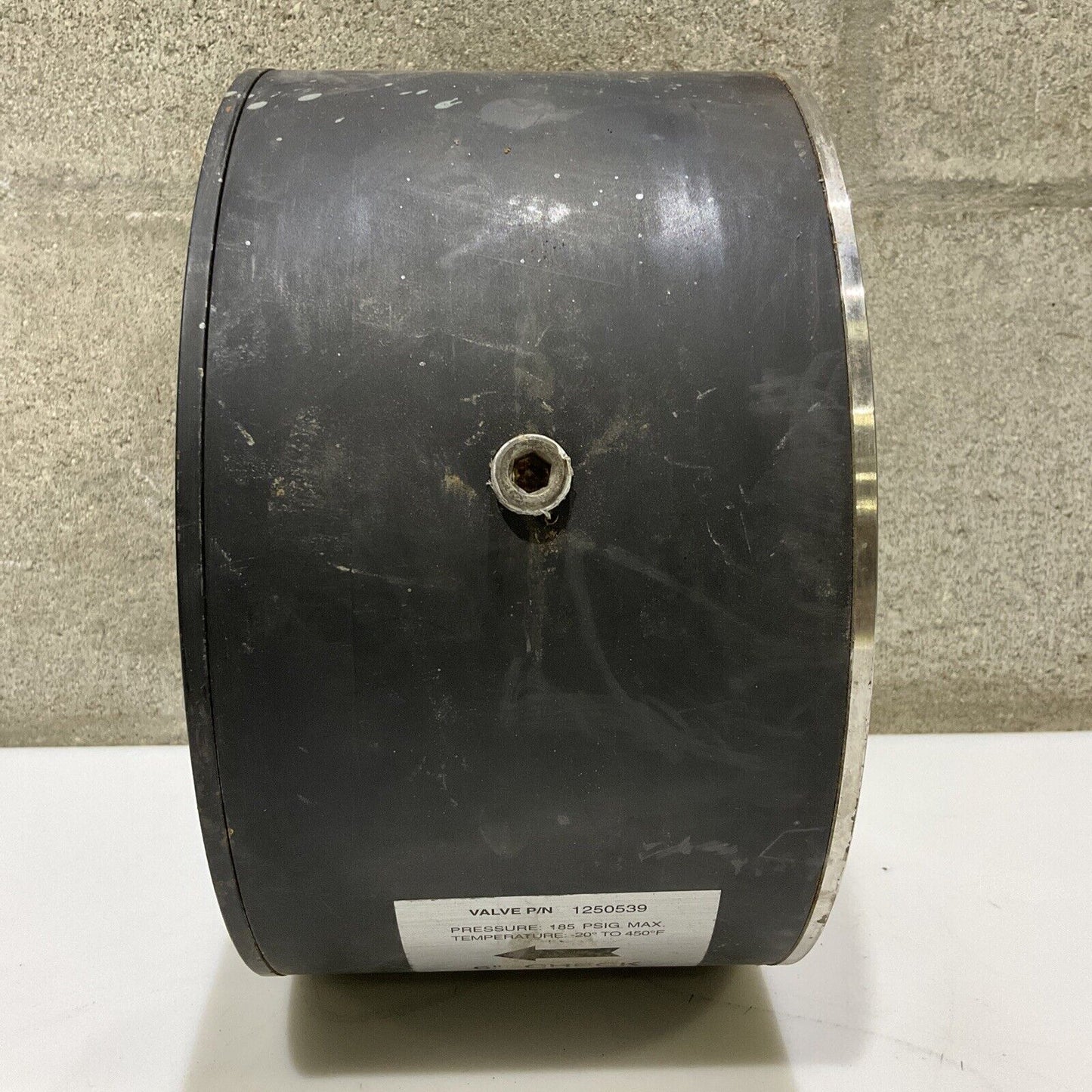 PNEUMATIC PRODUCTS 1250539 AIR DRYER OUTLET CHECK VALVE 6IN 678