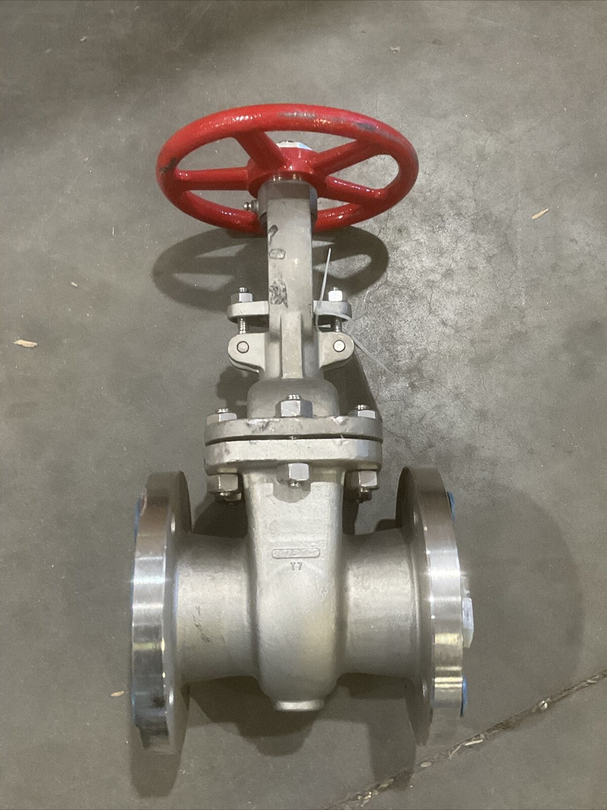 ALOYCO 117C02*030 RISING GATE VALVE 3” 316 SS CF8M 150# 117 373
