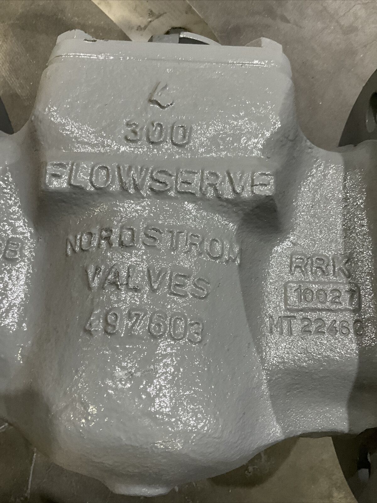 FLOWSERVE 4" F1645021 B16.34 300 SUPER GATE PLUG VALVE 4R 373