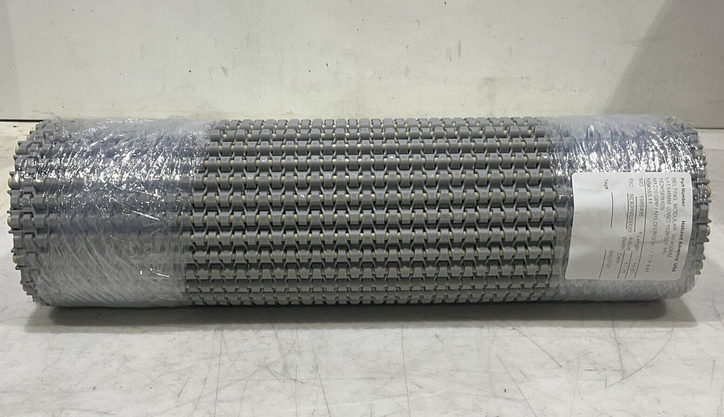 HABASIT M1220 GPP NYLON RODS MODULAR BELTING 18 IN BY 53 IN U3S