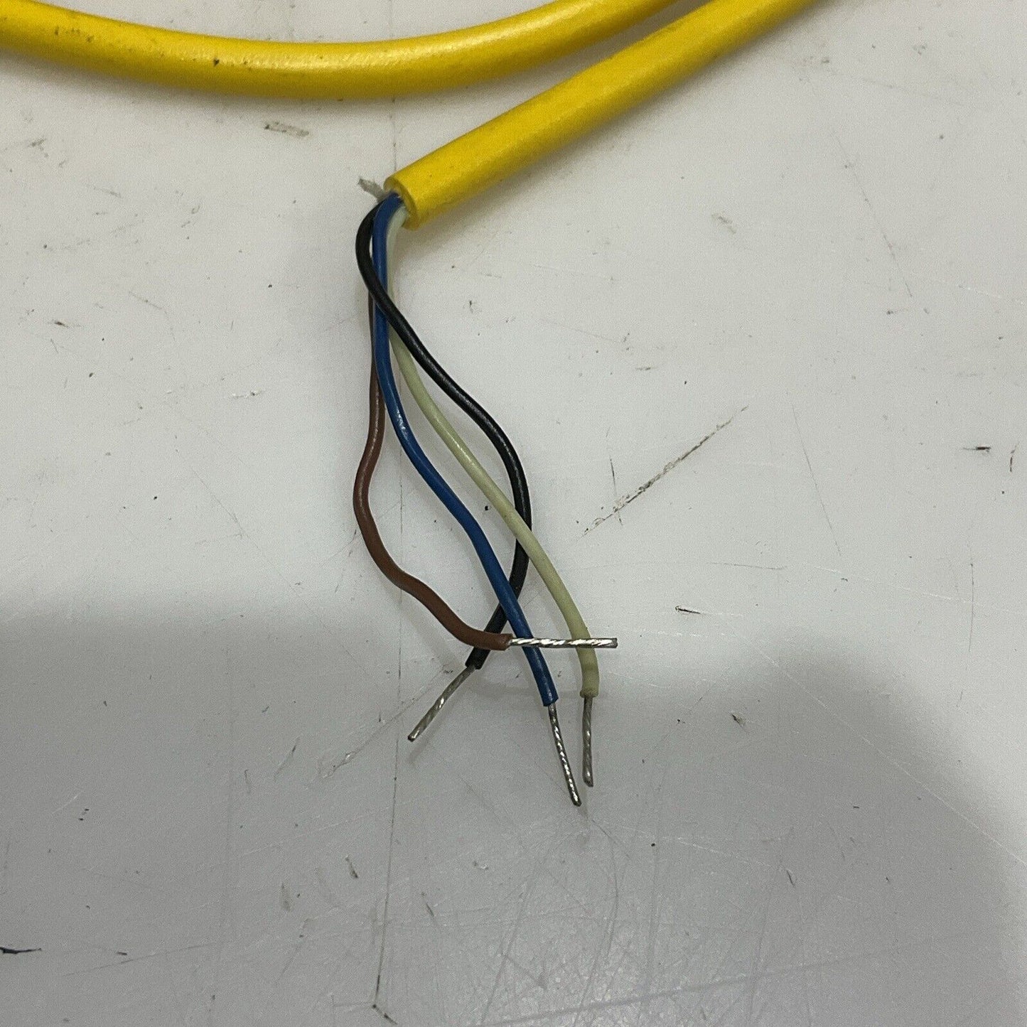 TURCK PKG-4M-9 U0935-39 CABLE ASSEMBLY LOT OF 2 U4M