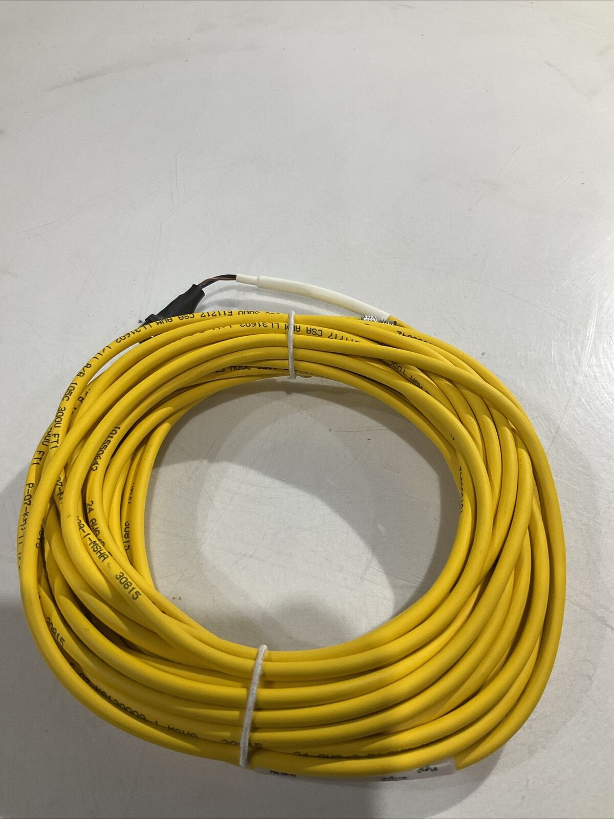 TURCK W108 SL XFR PADDLE JAM SENSOR 164K161G02 CABLE ASSY LL31602 LOT OF 3 U3S
