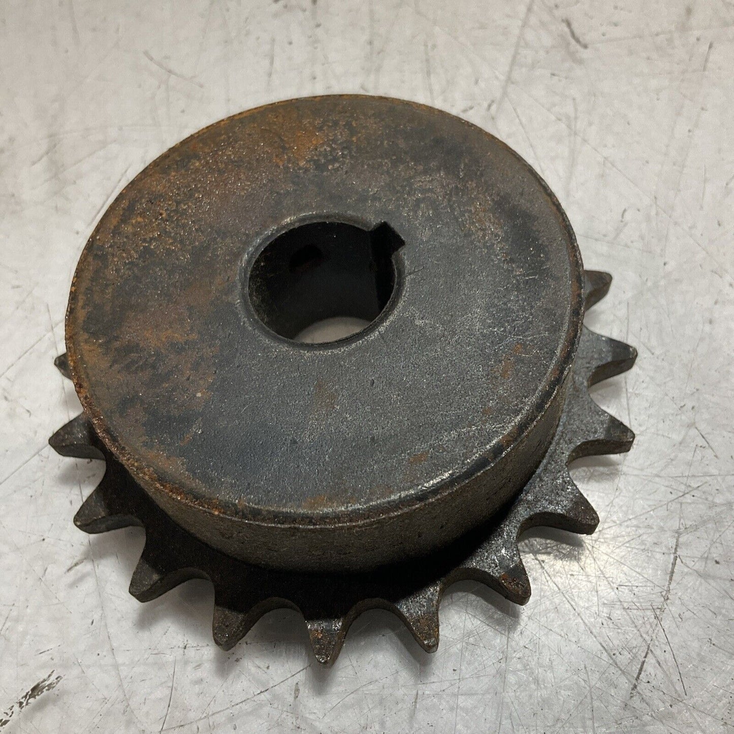 MARTIN 41BS20 SPROCKET GEAR 554