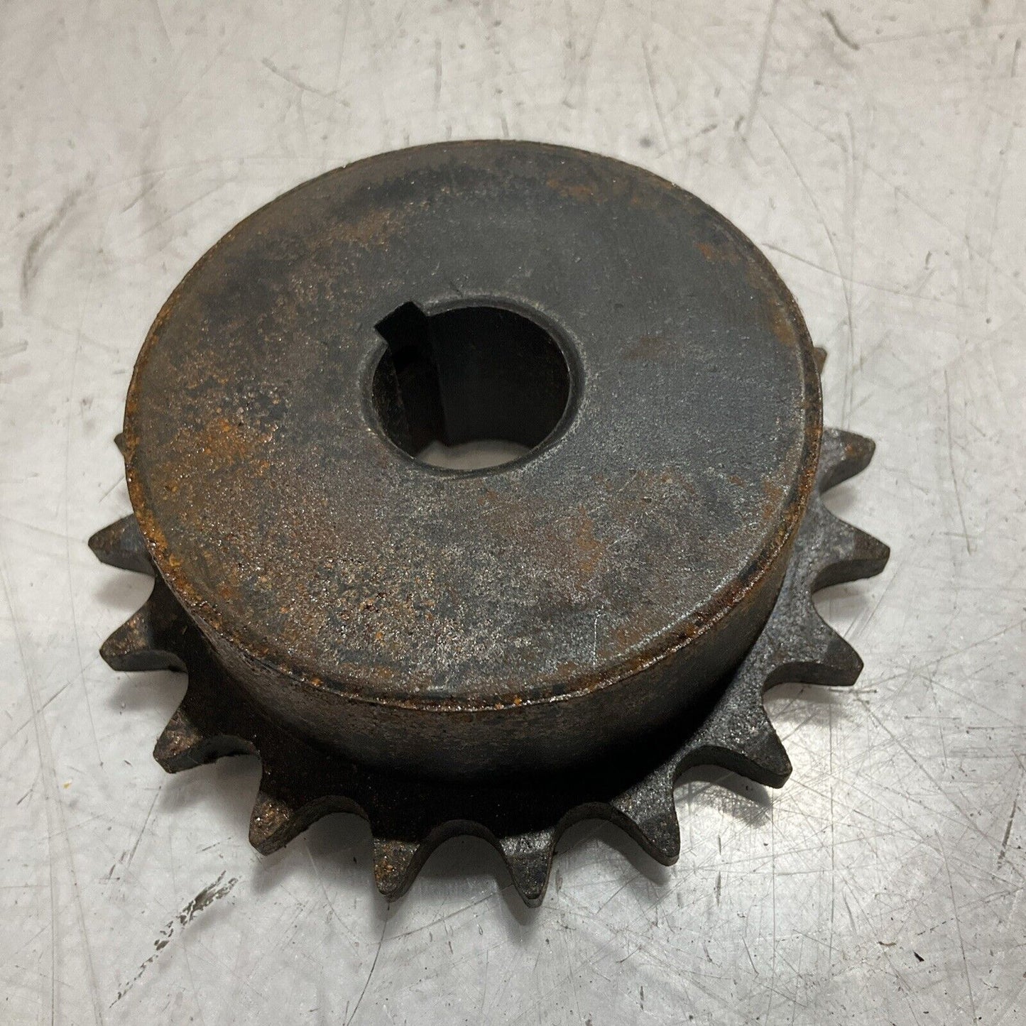MARTIN 41BS20 SPROCKET GEAR 554