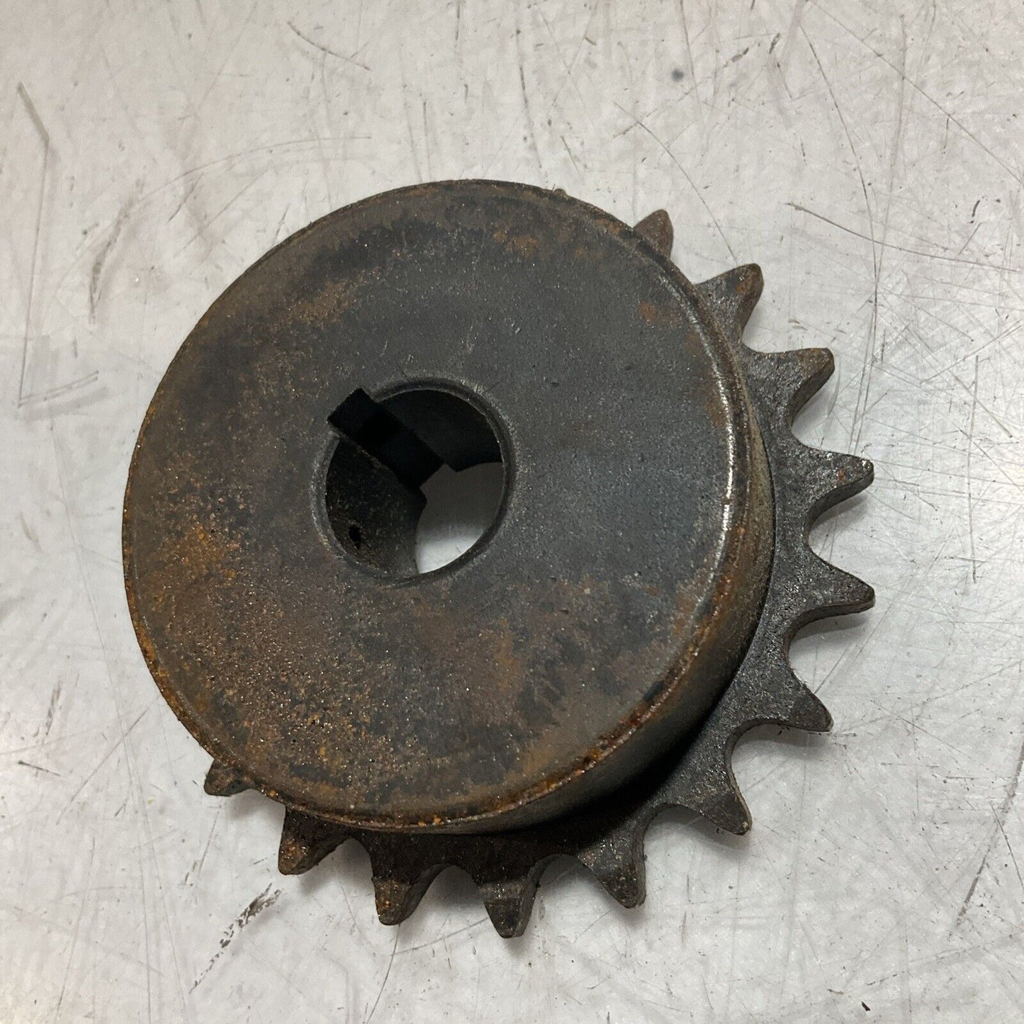 MARTIN 41BS20 SPROCKET GEAR 554