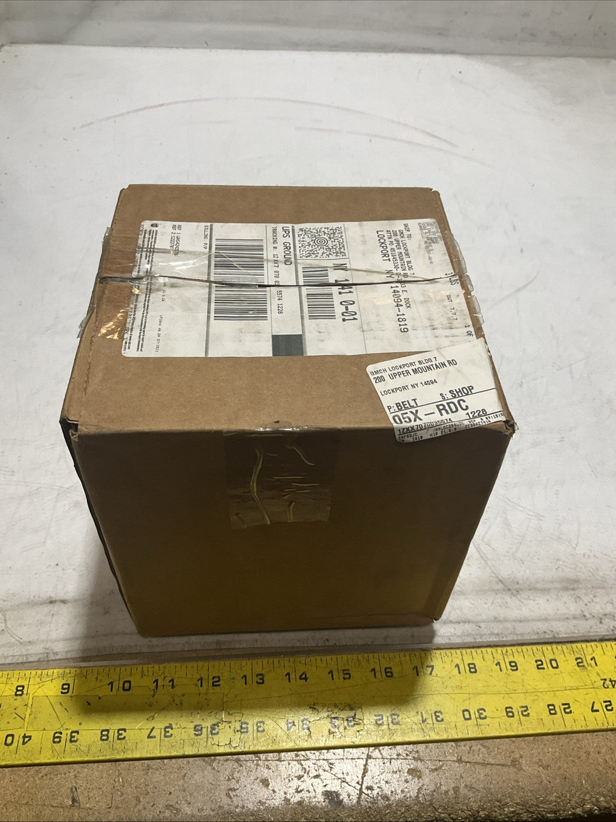 RINGFEDER GS-50-4 SINGLE FLEXING COUPLING UPPER MOUNTAIN TORQUE 12NM U3S