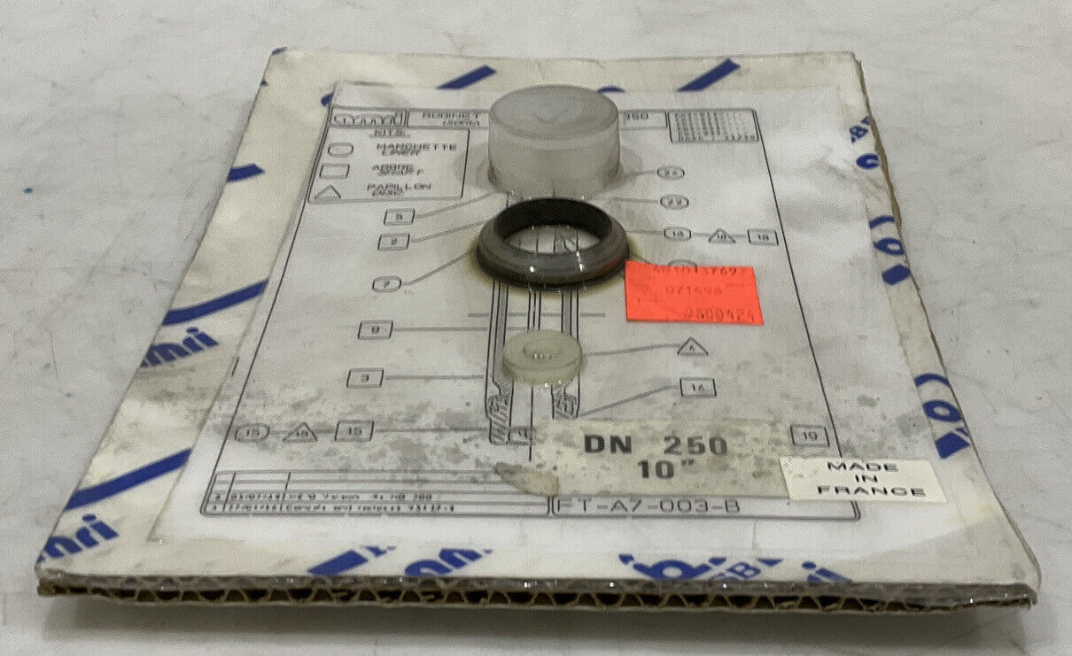 AMRI DN 250 10” FT-A7-003-B KIT 373