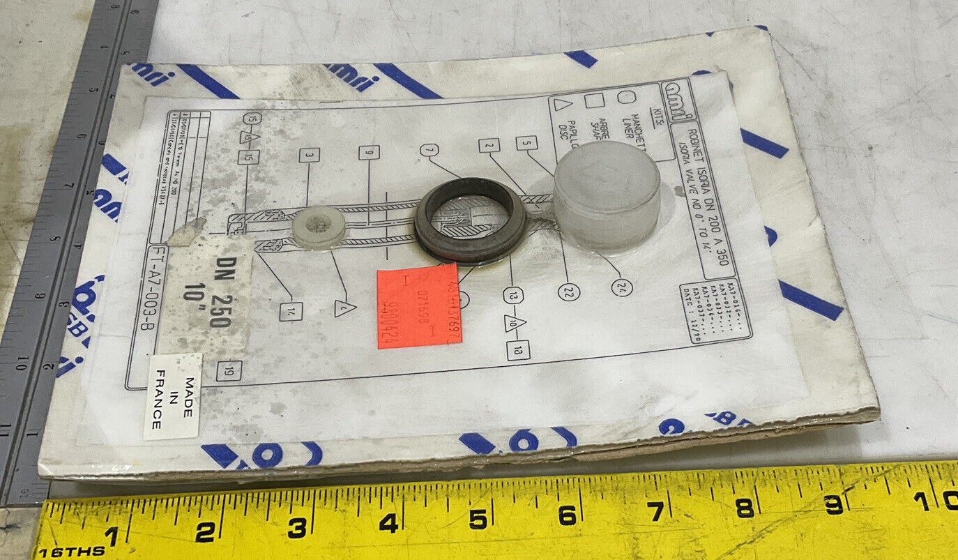 AMRI DN 250 10” FT-A7-003-B KIT 373