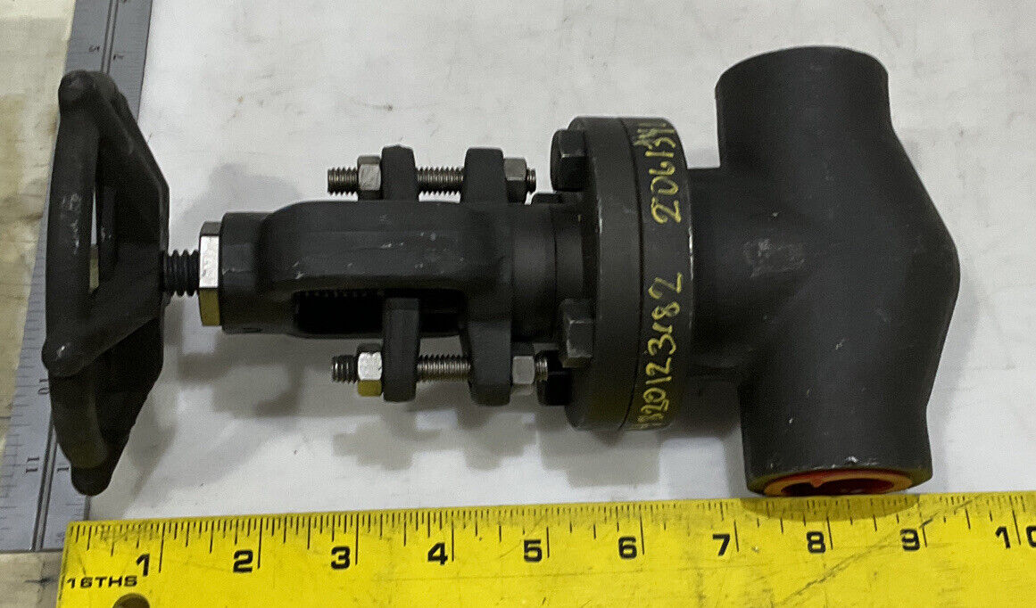 FLOWSERVE 12141 44245-1 R21 VALVE 373