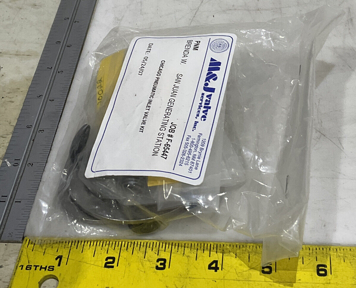 CHICAGO 1-01-30037/2-01-30037/1-01-20022 PNEUMATIC INLET VALVE KIT 373