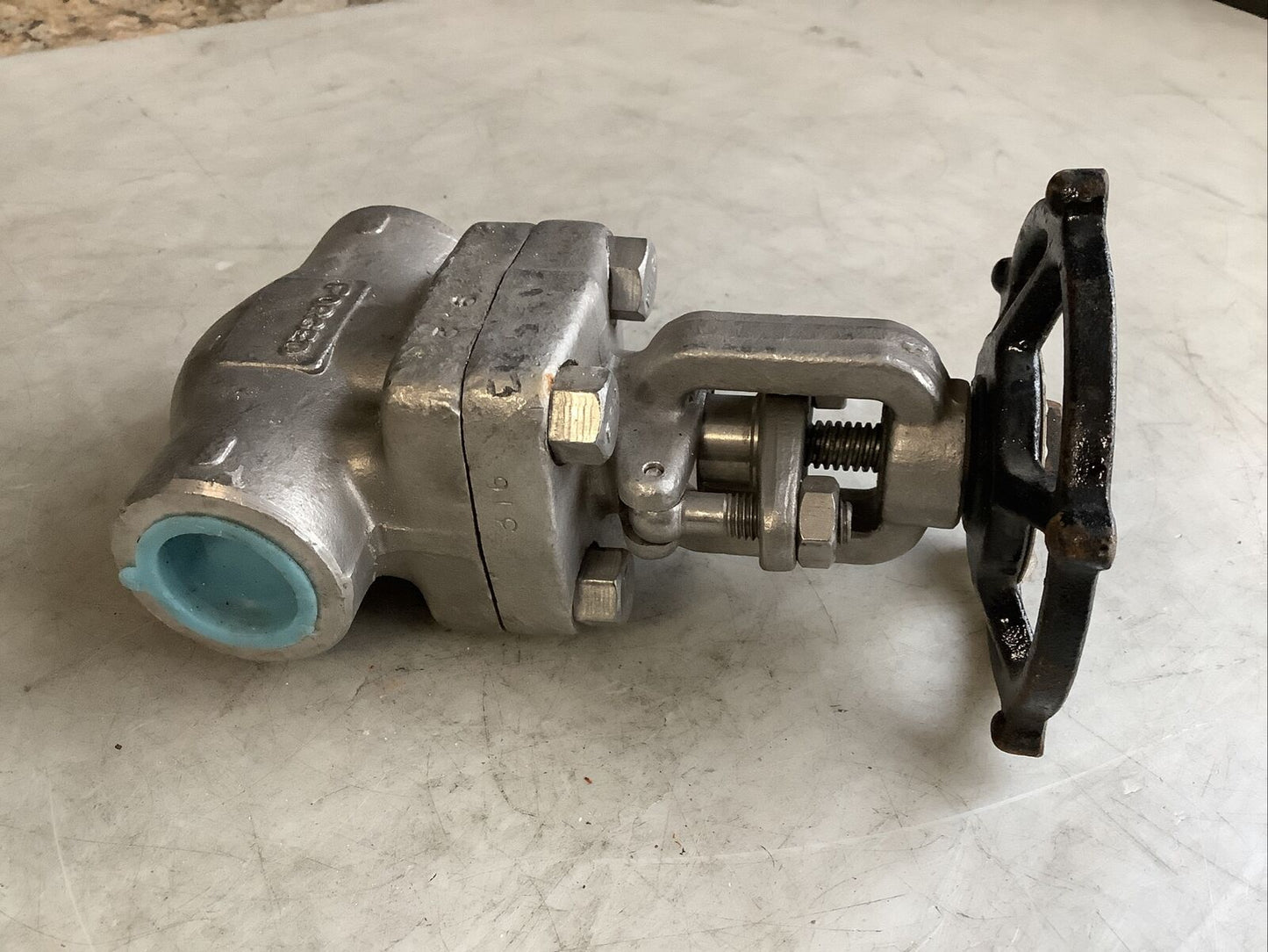 VALSA V-800GA CHECK VALVE F316 SUS316 1IN 373