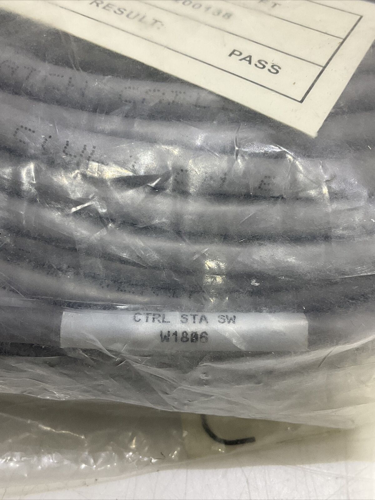 BLACK BOX EVNSL640-0100 PATCH CABLE GIGATRUE 550 CAT 6 100FT 30.5 LOT OF 2 U3S