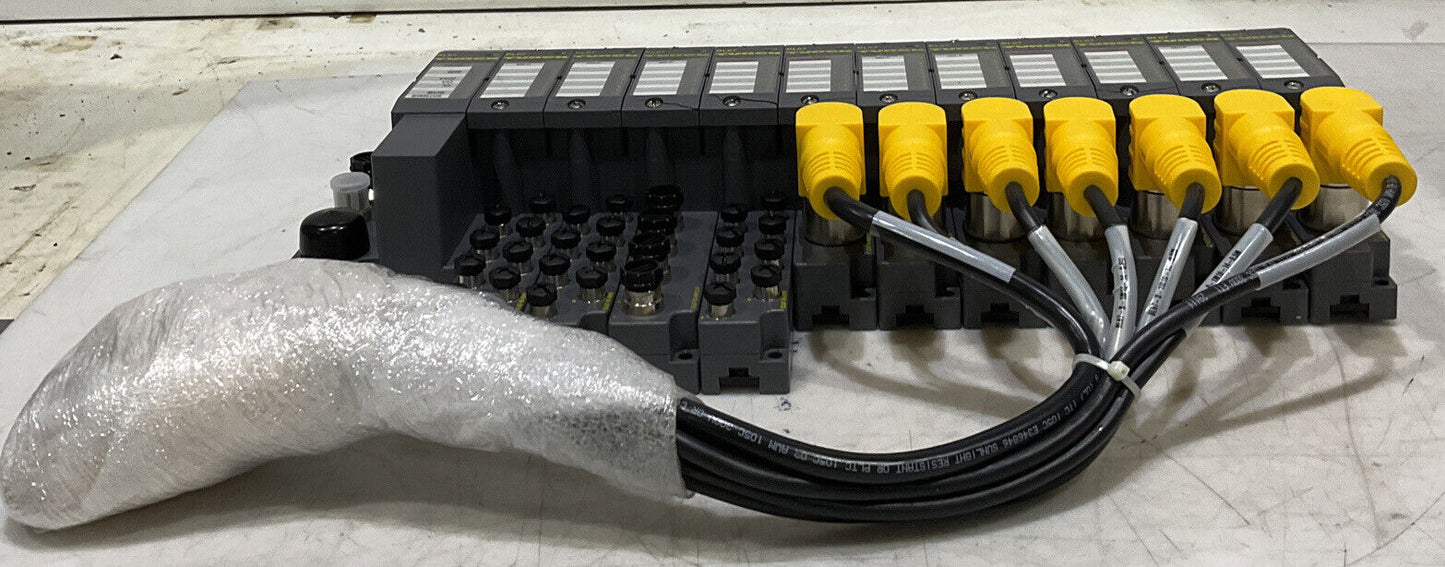 TURCK 165K100 BL67 TW-CO 8DI-P 8DO-0,5A-P BL67-B-4M12-P CANOPEN ASSEMBLY U3S