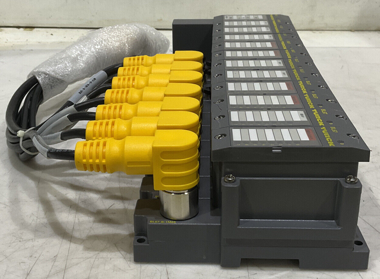 TURCK 165K100 BL67 TW-CO 8DI-P 8DO-0,5A-P BL67-B-4M12-P CANOPEN ASSEMBLY U3S