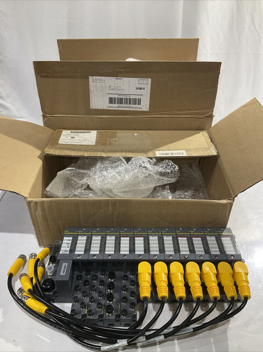 TURCK BL67 TW-CO 8DI-P 8DO-0,5A-P BL67-B-4M12-P CANOPEN ASSEMBLY LOT OF 2 U3S