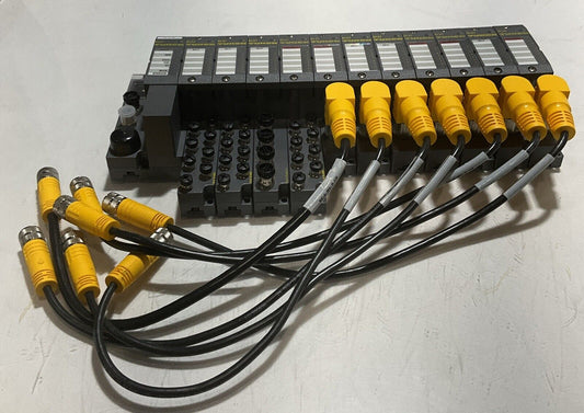 TURCK 165K100 BL67 TW-CO 8DI-P 8DO-0,5A-P BL67-B-4M12-P CANOPEN ASSEMBLY U3S