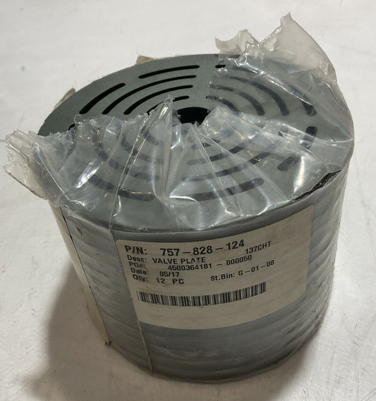 PUTAWAY  757–828-124  VALVE PLATE  TYPE 998 137CHT  U3S