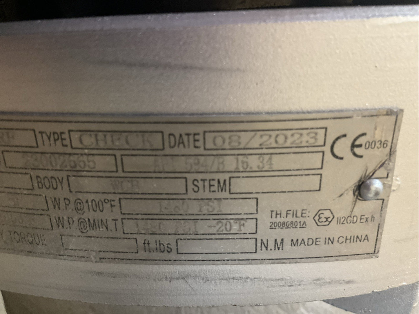 BONNEY FORGE 6" 600LB GATE CHECK VALVE WCB