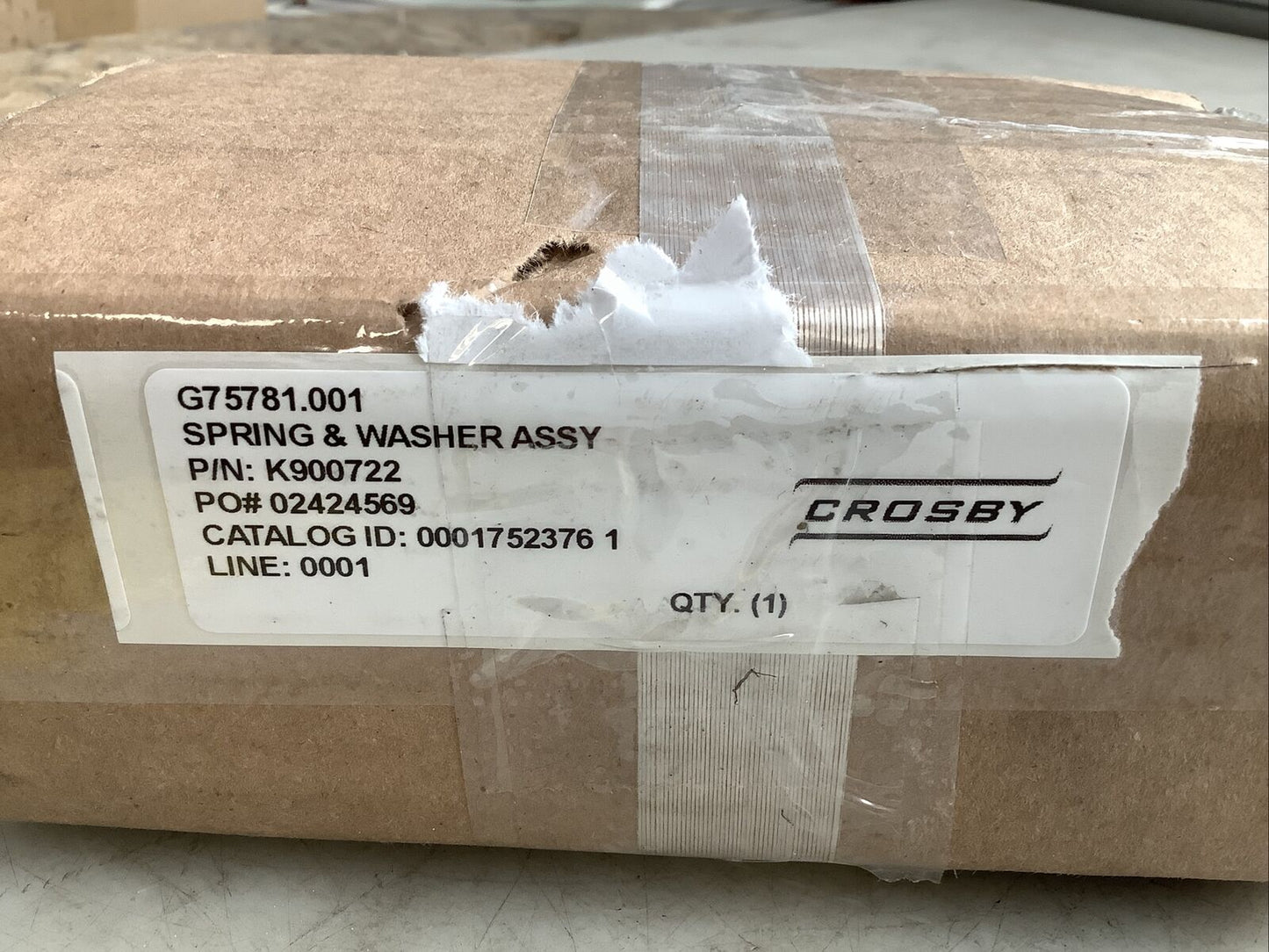 CROSBY K900722 G75781.001 SPRONG AND WASHER ASSEMBLY