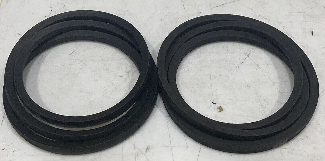 INDUSTRIAL AIR POWER 1312-1007-21 BELT B74 DRIVE BELT LOT OF 2 881