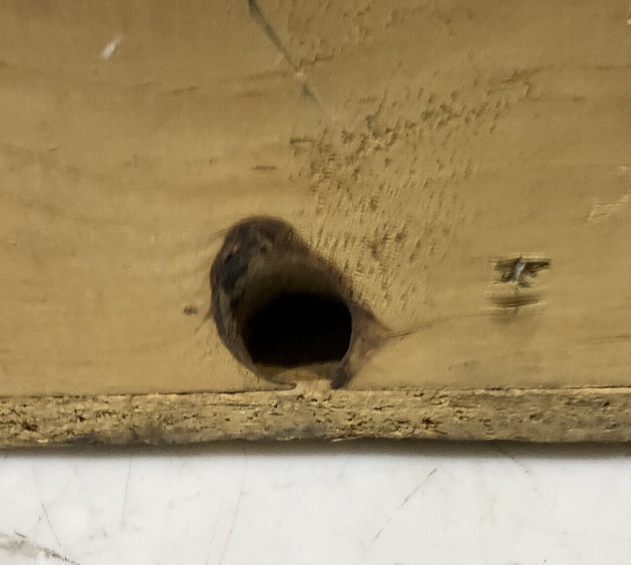 DELTA 6206743 DECK COVER WELDMENT 881