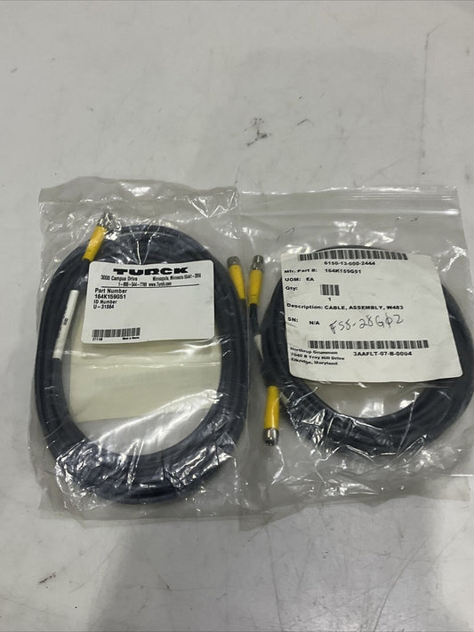 TURCK U-31864 BL67 GW-41-DI-013 CABLE ASSEMBLY W483 LOT OF 2 U3S